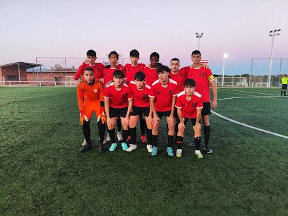 CF UNIÓN VILLANUEVA DEL PARDILLO
