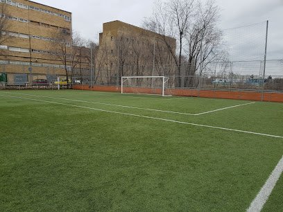 Campo de fútbol