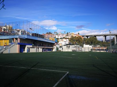 Unión Deportiva La Mosca
