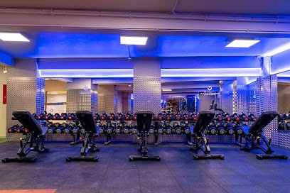 Gimnasio VivaGym Platero
