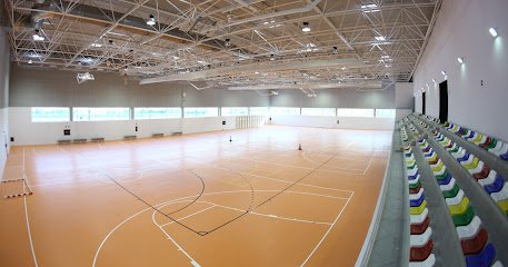 Polideportivo Ibaiondo