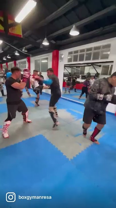 Box Gym Manresa