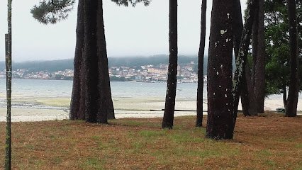 Campo Municipal de Barraña