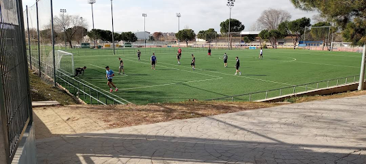 Campo Alcorcón
