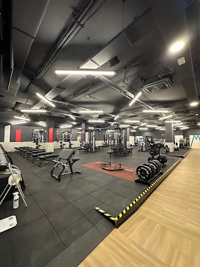 Synergym Zamora Universidad