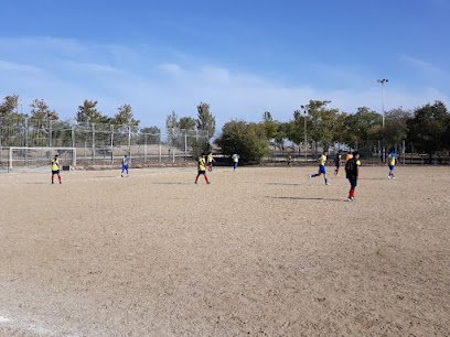 Campo de fútbol