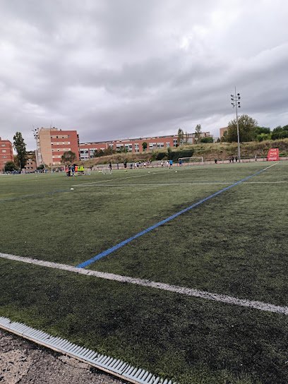 Club Esportiu Seagull Badalona