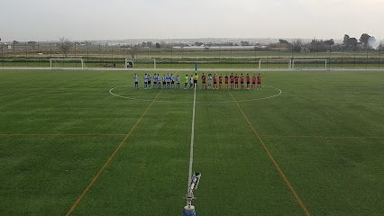 Polideportivo San Fulgencio Alicante, Estadio Nuevo Cañaveral