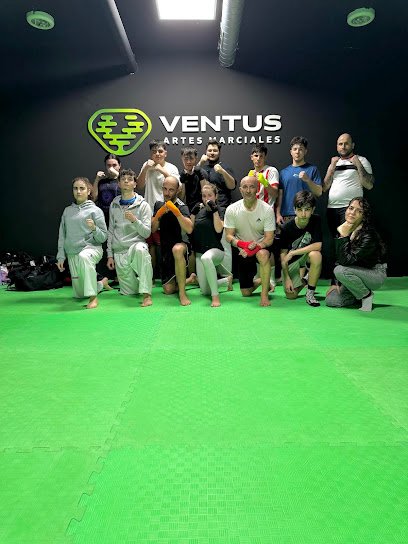 Ventus Artes Marciales
