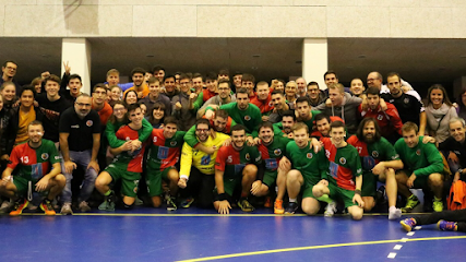 Handbol Berga