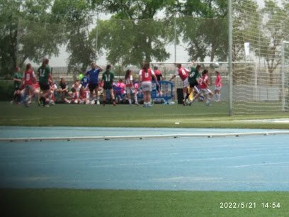 Estadio Miguel Moreno