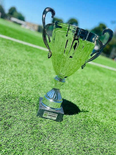 Campo de fútbol