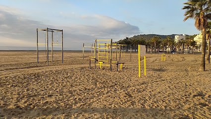 Gimnasia