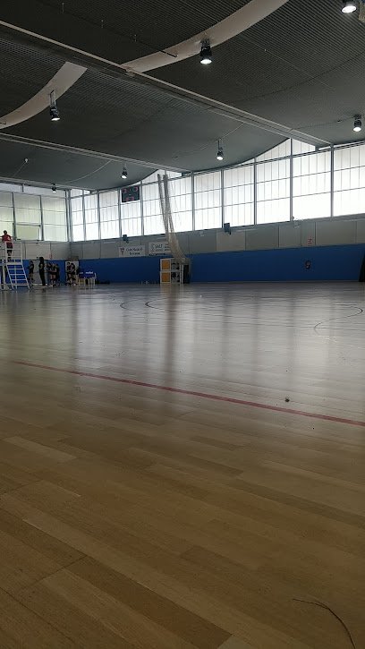 Club Voleibol Terrassa