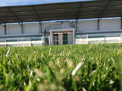 Campo municipal de fútbol
