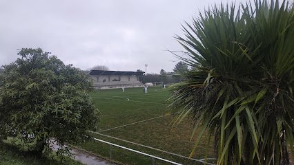 Campo de Fútbol de Cospeito (A Fonte)