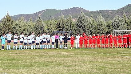 Campo Municipal de Nerva
