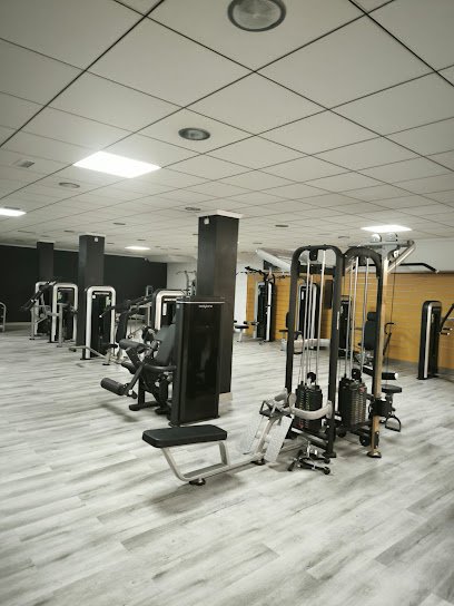 Nuevo Gimnasio (Asis)