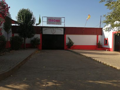 Municipal de San Jorge