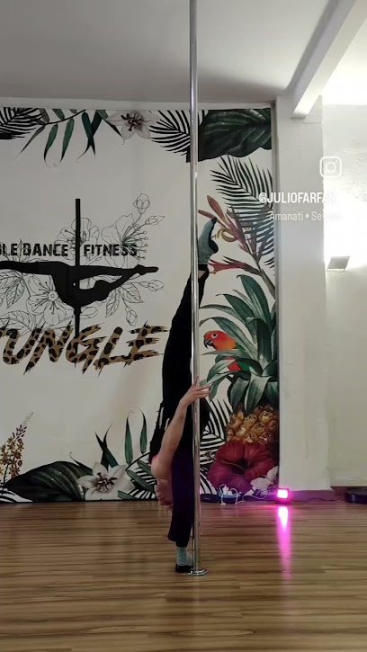Pole Dance Fitness Jungle