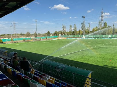 Estadio Valle De Cañas Pozuelo CF