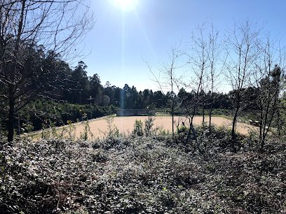 Campo de Fútbol Sampaio