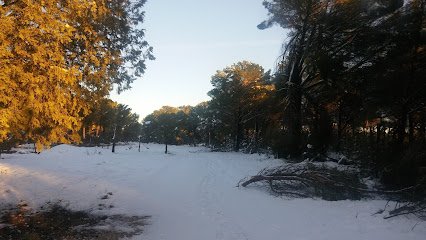 Polideportivo de Montemayor de Pililla