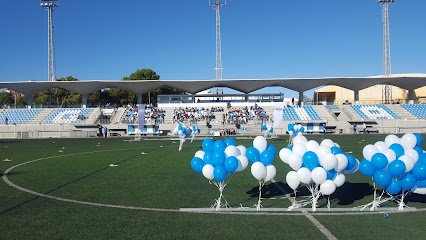 Estadio Guillermo Olagüe