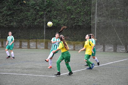 Campo Manolo Preciado (Parayas)