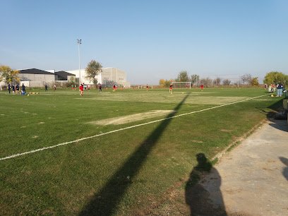 Zona De Entrenamiento