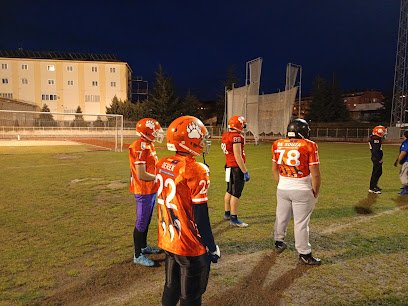 Ávila Grizzlies (AG)