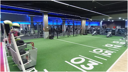 Gimnasio VivaGym Godella