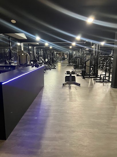 Gym Shark