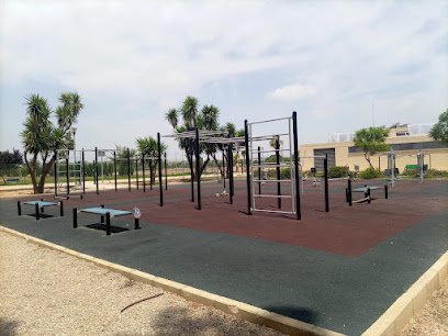 Parque de Barras SonGohan (Calistenia)
