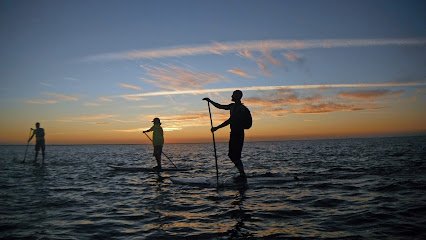 SUP Barrosa Club de Paddle surf