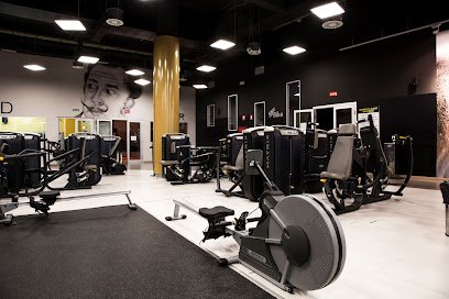 Nine Fitness Pinto