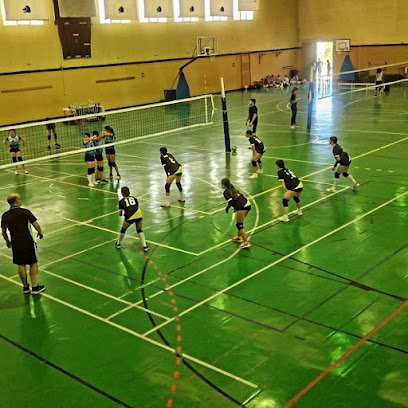 CD Golden Team