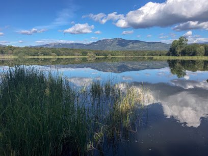 Club de piragüismo Los Arroyos de Madrid