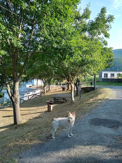 Polideportivo Castrillón