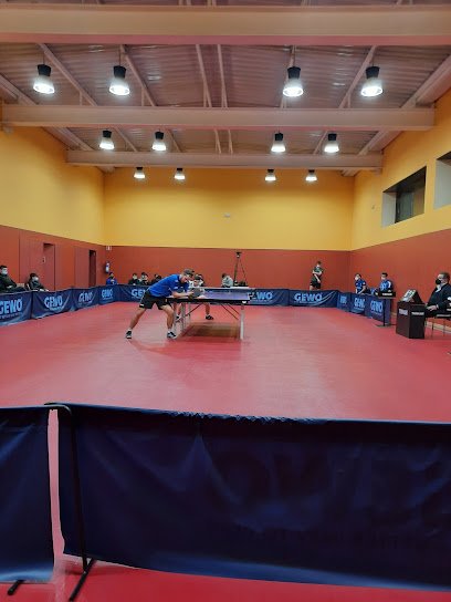 Club de Tenis de Mesa SanSe