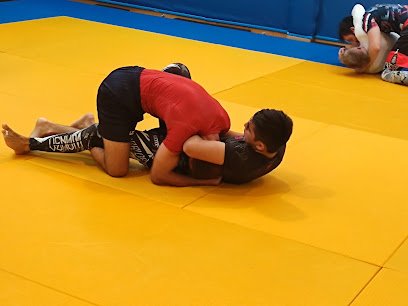 MMA y Lucha Grappling Colmenar Viejo