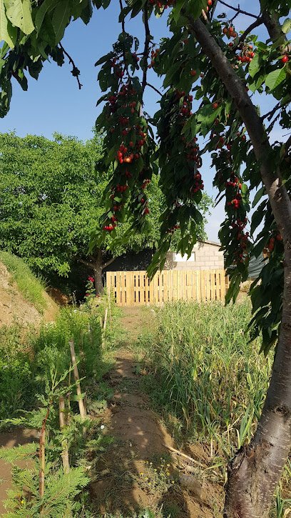 Finca don Porozo