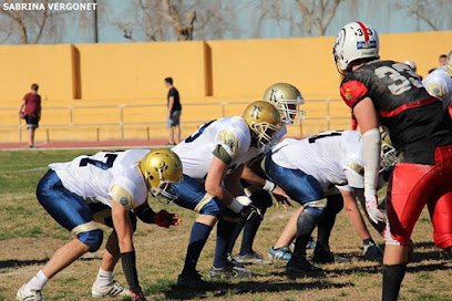 Club de fútbol americano Sueca Ricers