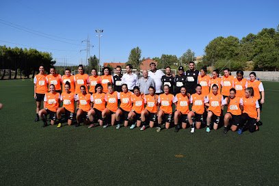 Club Deportivo Parquesol