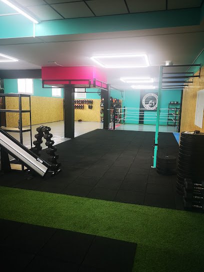 Shogun Muaythai & Boxing club