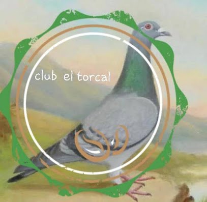 Club Deportivo Colombofilo el Torcal