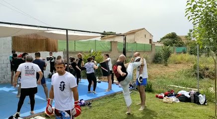 SUMMER TRAINING CAMP KYOKUSHIN CASTELLÓN