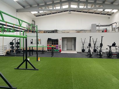 GIMNASIO GASTEIZ TRAINNING