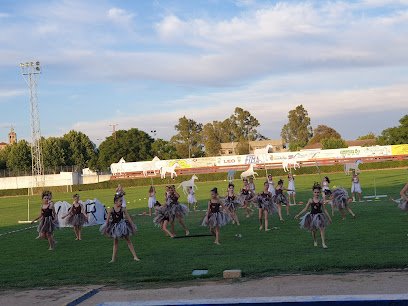Campo de Fútbol C.P. Guareña