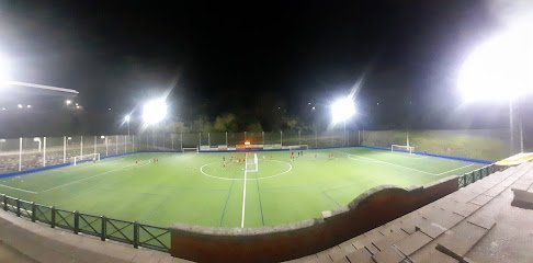 Artia Oinbola Zelaia/Campo De Futbol De Artia